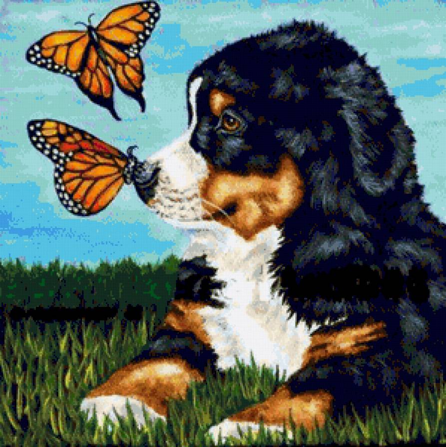 щенок и бабочки - щенок, бабочка, собака - предпросмотр