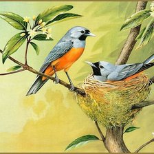 Оригинал схемы вышивки «птички в гнезде» (№79633)
