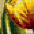 Предпросмотр схемы вышивки «тюльпаны» (№79816)