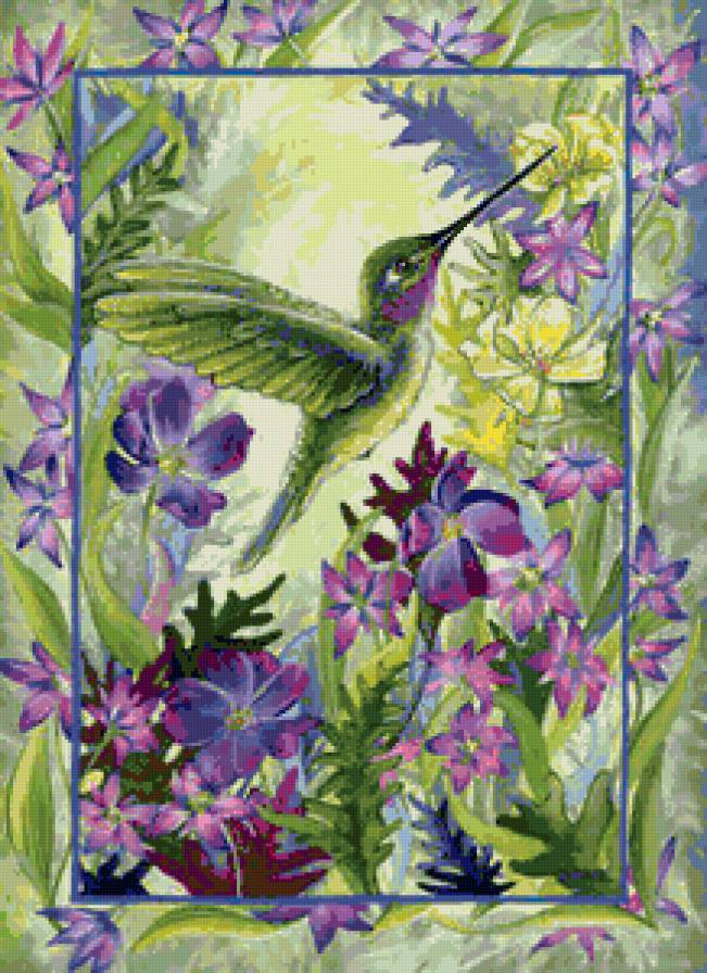 №80257 - колибри, цветы - предпросмотр