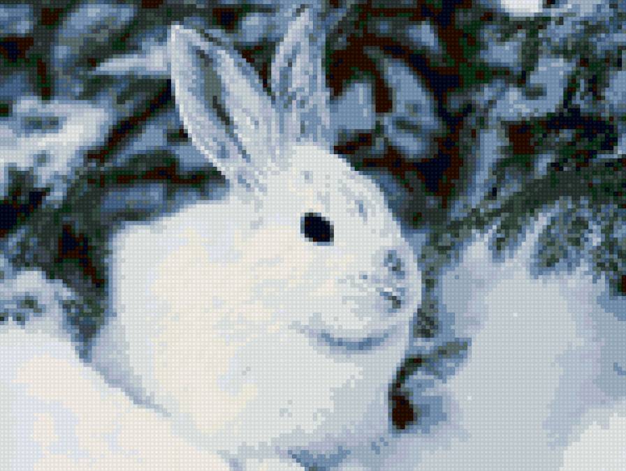 зайик - кролик, животные, зима, заяц - предпросмотр