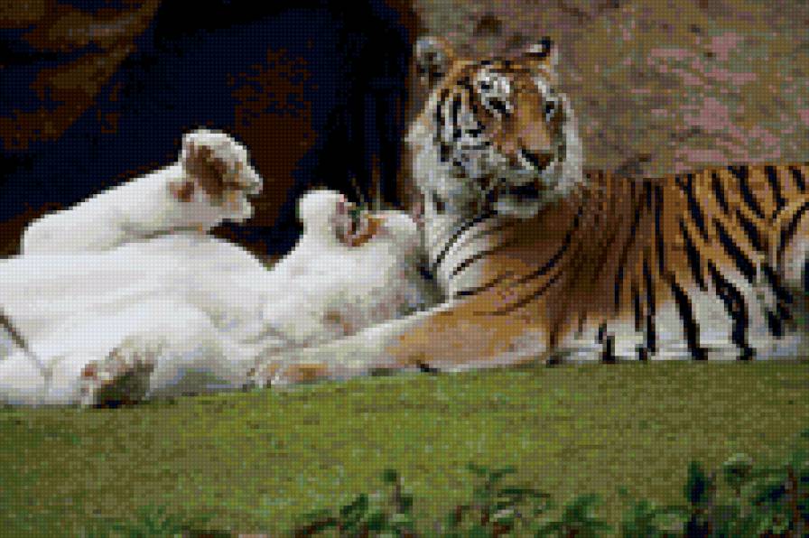 Тигры - тигры, альбинос - предпросмотр