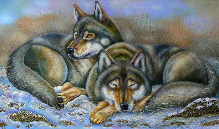 волки - зима, красота, живопись, природа, картина, животные, волки - оригинал