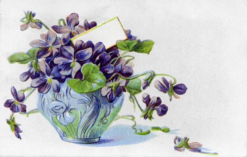 Фиалки - цветы, букет, violets, фиалки, фиалка, букетик, весна - оригинал