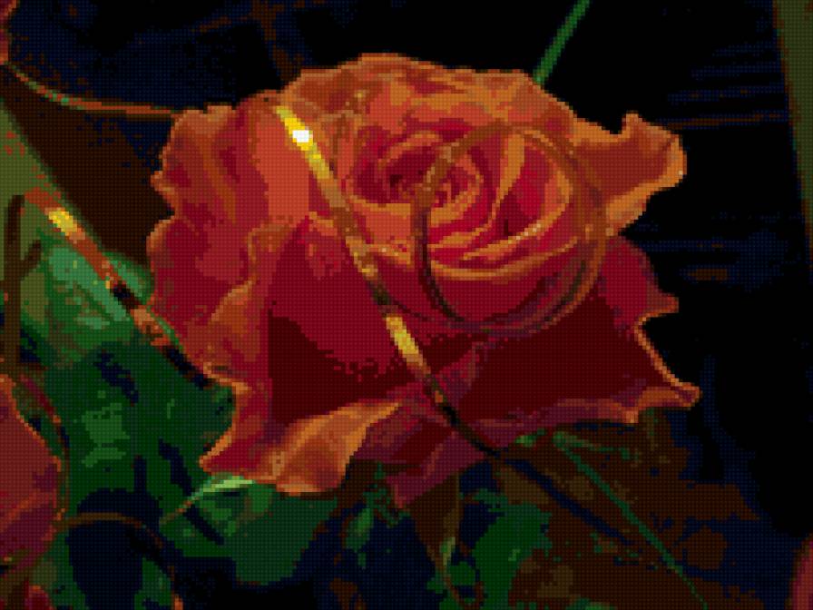Красная роза... - цветы, красная роза... - предпросмотр