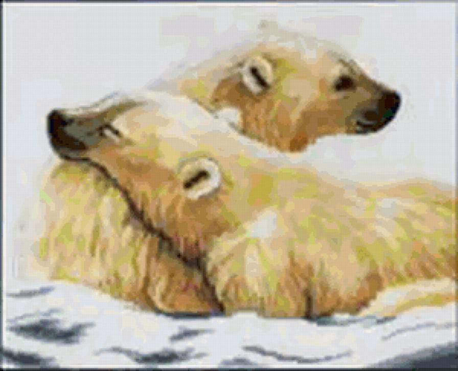 Белые медведи - медведи - предпросмотр