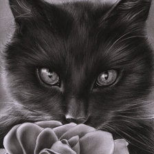 Оригинал схемы вышивки «Черный кот» (№81141)