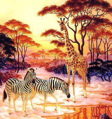 Африка - жираф, зебра, животные, африка - оригинал
