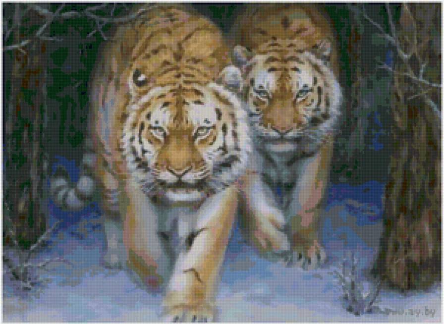 Тигры - тигры, животные, живопись - предпросмотр