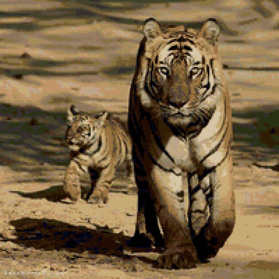 на прогулку - животные, тигры - предпросмотр