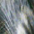 Предпросмотр схемы вышивки «В маминых лапах» (№81516)