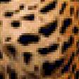 Предпросмотр схемы вышивки «Леопард» (№82028)