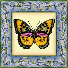Оригинал схемы вышивки «бабочка в рамке 3» (№82967)