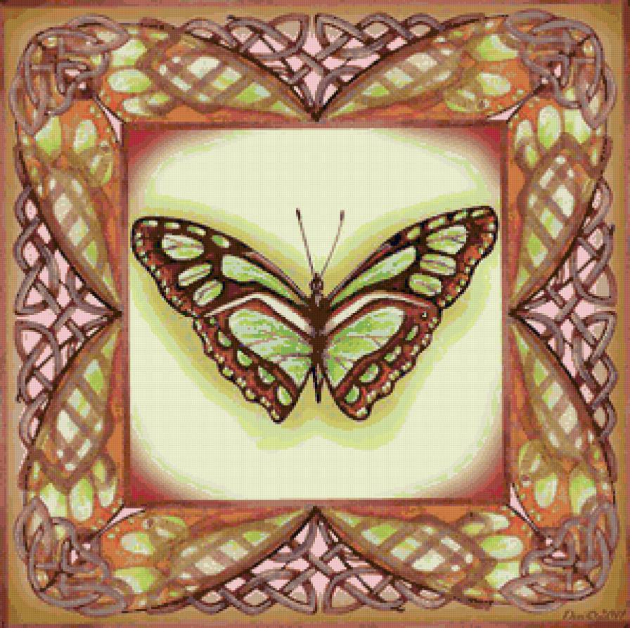 бабочка в рамке 4 - бабочка, подушка, насекомые - предпросмотр