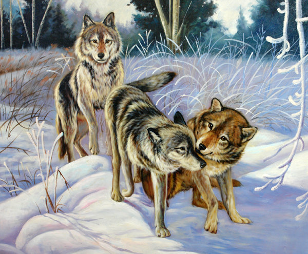 Серия "Волки" - зима, животные, пейзаж, волки - оригинал