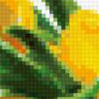 Предпросмотр схемы вышивки «желтые тюльпаны» (№83866)