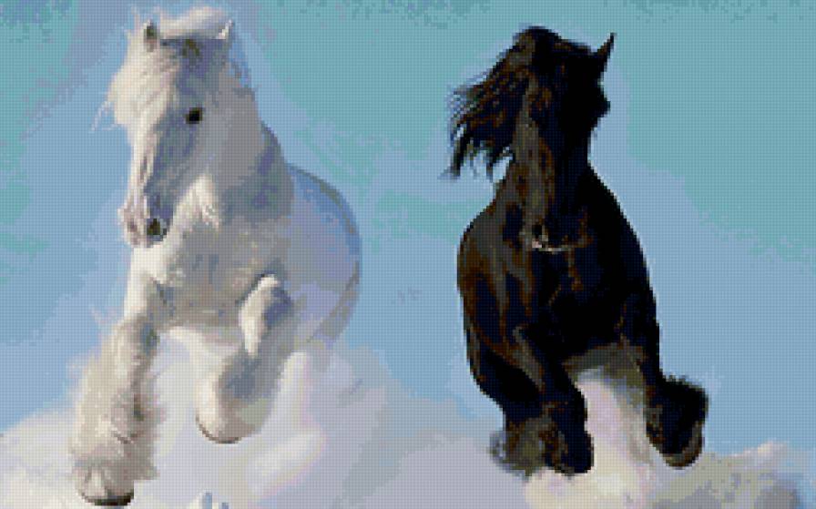 черное и белое - животные, кони - предпросмотр
