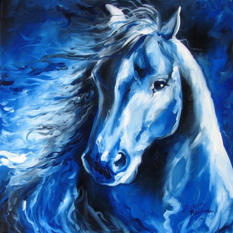 Marcia Baldwin - лошади - животные, лошади - оригинал