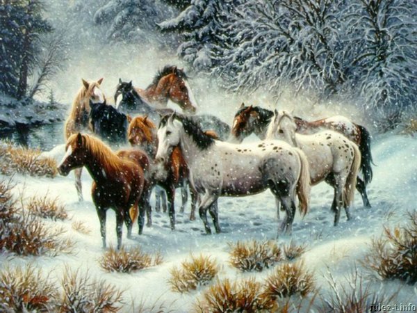 Лошади на снегу - кони, лошади, зимой - оригинал