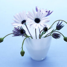цветочки в вазе