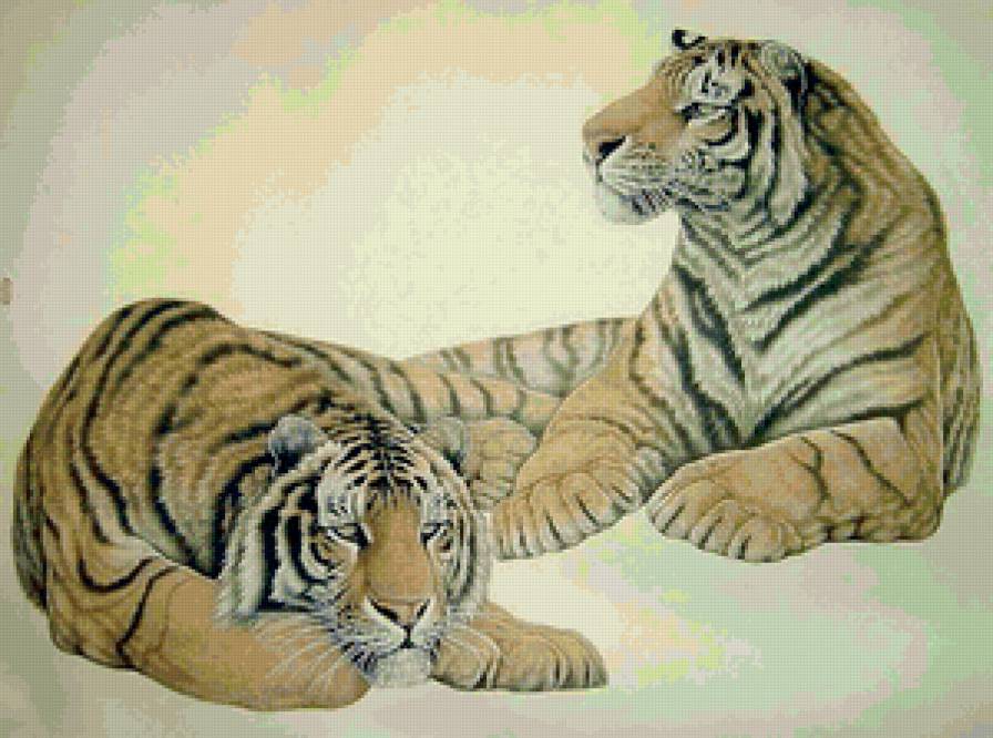 Тигры - животные, гохуа, кошки, тигр, дикие хищные кошки - предпросмотр