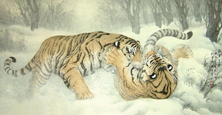 Тигры - животные, дикие хищные кошки, тигр, кошки, гохуа - оригинал