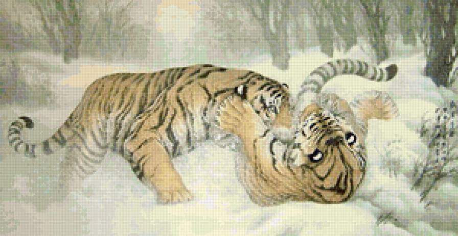 Тигры - дикие хищные кошки, кошки, животные, гохуа, тигр - предпросмотр