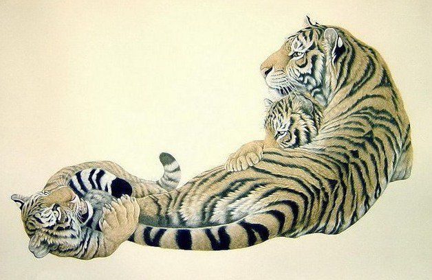 Тигры. Мама с малышами - дикие хищные кошки, гохуа, кошки, мама, тигр, малыши, животные - оригинал