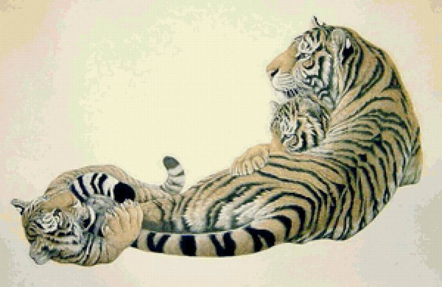 Тигры. Мама с малышами - тигр, гохуа, животные, дикие хищные кошки, мама, кошки, малыши - предпросмотр