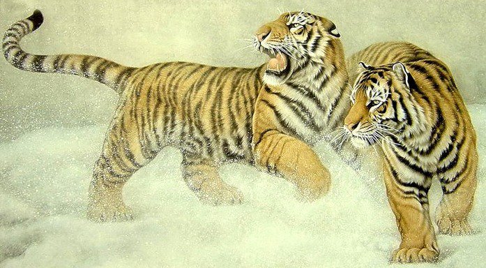 Тигры - животные, кошки, гохуа, дикие хищные кошки, тигр - оригинал
