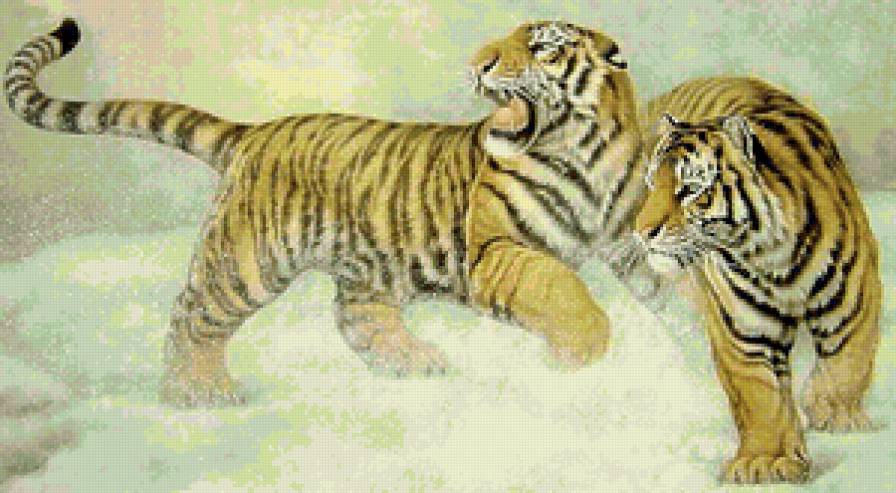 Тигры - кошки, тигр, гохуа, животные, дикие хищные кошки - предпросмотр