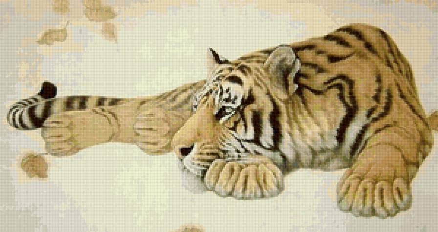 Тигр - животные, дикие хищные кошки, тигр, кошки, гохуа - предпросмотр