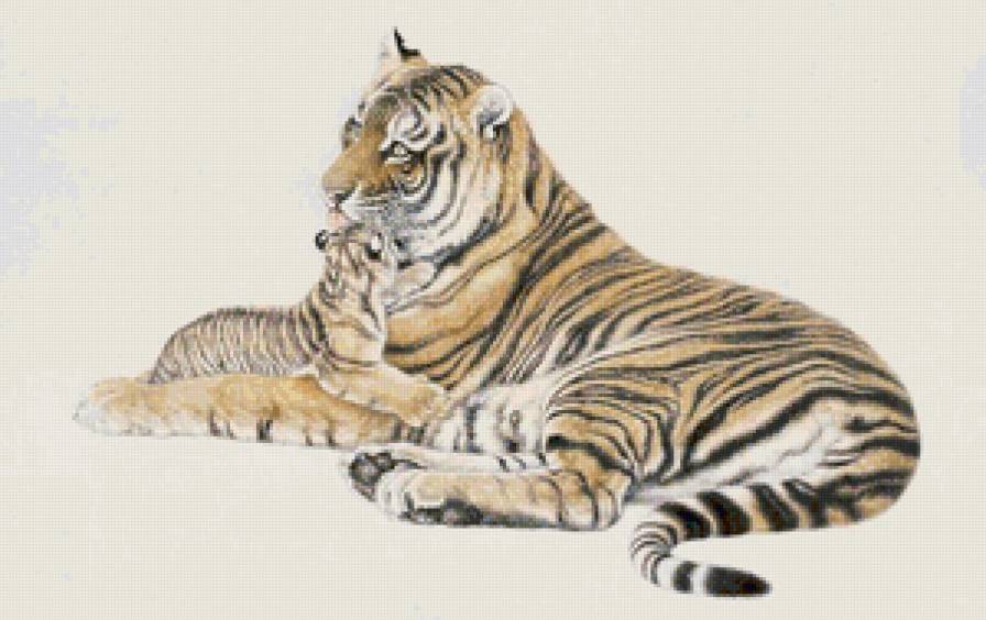 Тигры. Мама с малышом - гохуа, кошки, тигр, дикие хищные кошки, животные, малыш - предпросмотр