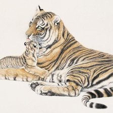 Тигры. Мама с малышом