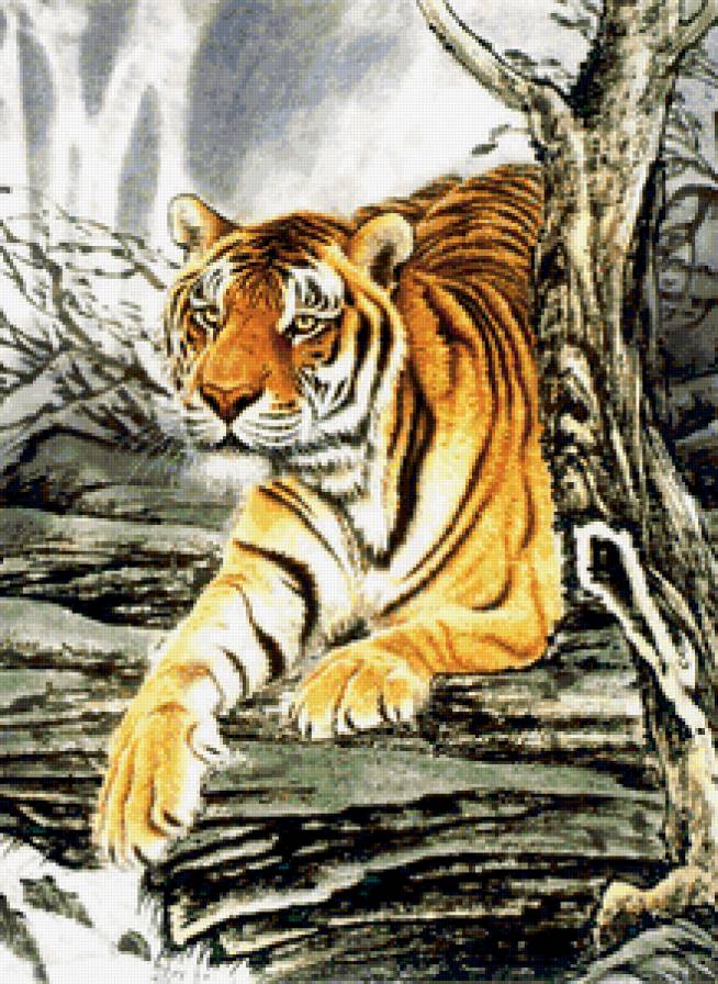 Тигр - тигр, животные, дикие хищные кошки, кошки, гохуа - предпросмотр