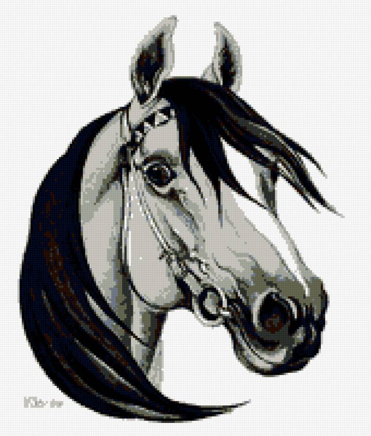 конь - портрет, конь, морда, лошадь - предпросмотр