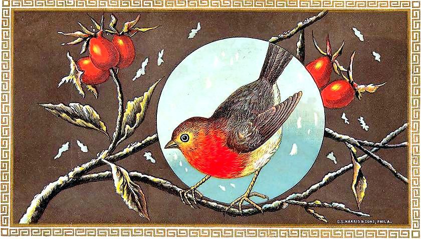 Птички и ягодки - птицы, птички и ягодки, подушки, птички, шиповник, рождество - оригинал