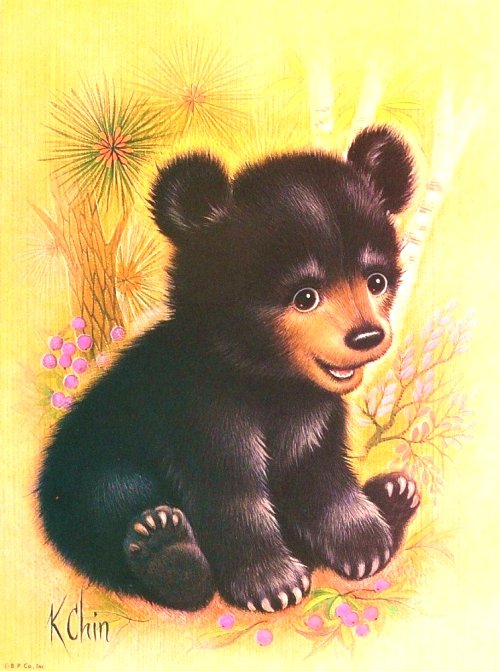 Медвежонок - природа, медвежата, детки, радость, медведи, медвежонок - оригинал