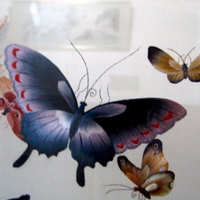 Оригинал схемы вышивки «бабочки» (№85601)