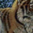 Предпросмотр схемы вышивки «Тигры» (№85756)