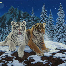 Оригинал схемы вышивки «Тигры» (№85756)