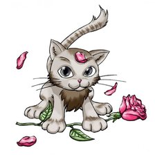 Схема вышивки «котенок с розой»