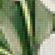 Предпросмотр схемы вышивки «белые тюльпаны» (№85957)