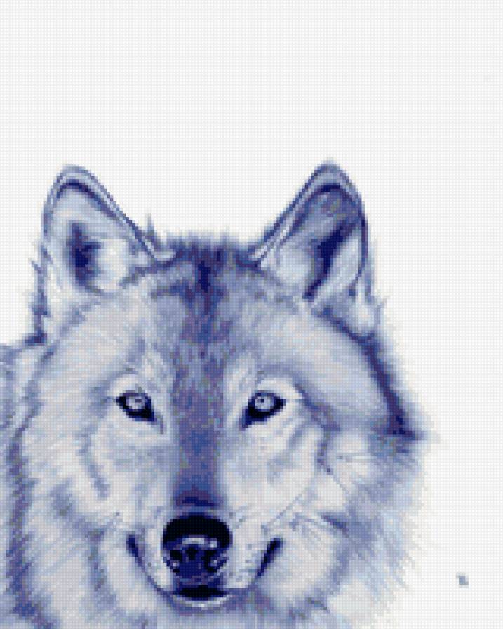 Волк - волк, волчонок, волчица, волки, волчата - предпросмотр