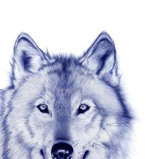 Оригинал схемы вышивки «Волк» (№87007)