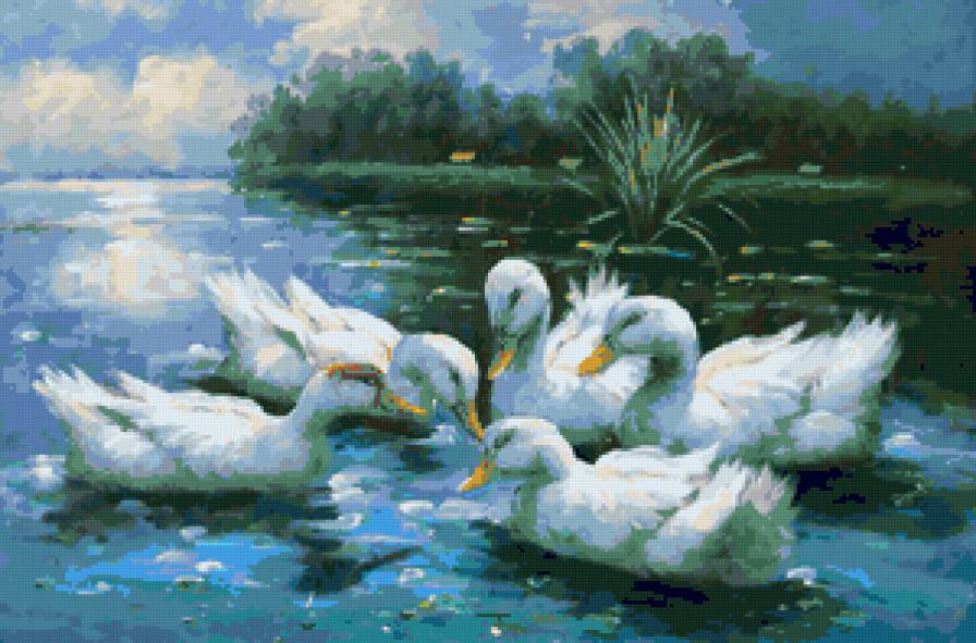 Серия "Птицы. Гуси" - озеро, лето, пейзаж, птицы, река, гуси - предпросмотр