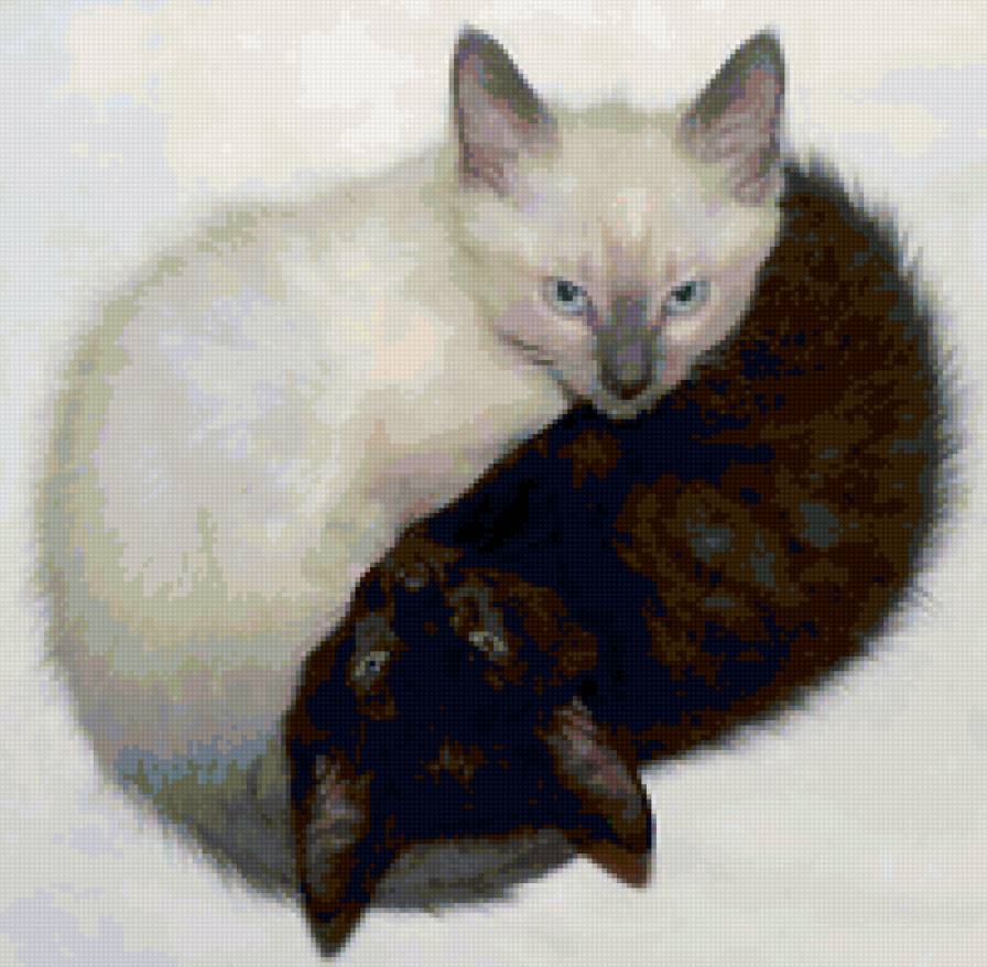 инь и янь) - котята, белое, двое, черное - предпросмотр