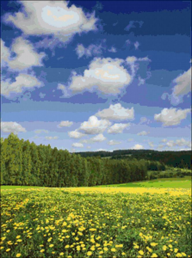 поле одуванчиков - лето, природа, поле, пейзаж, одуванчики - предпросмотр