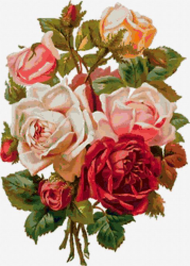 букет роз - розы, винтаж, цветы - предпросмотр