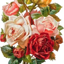 Оригинал схемы вышивки «букет роз» (№87604)